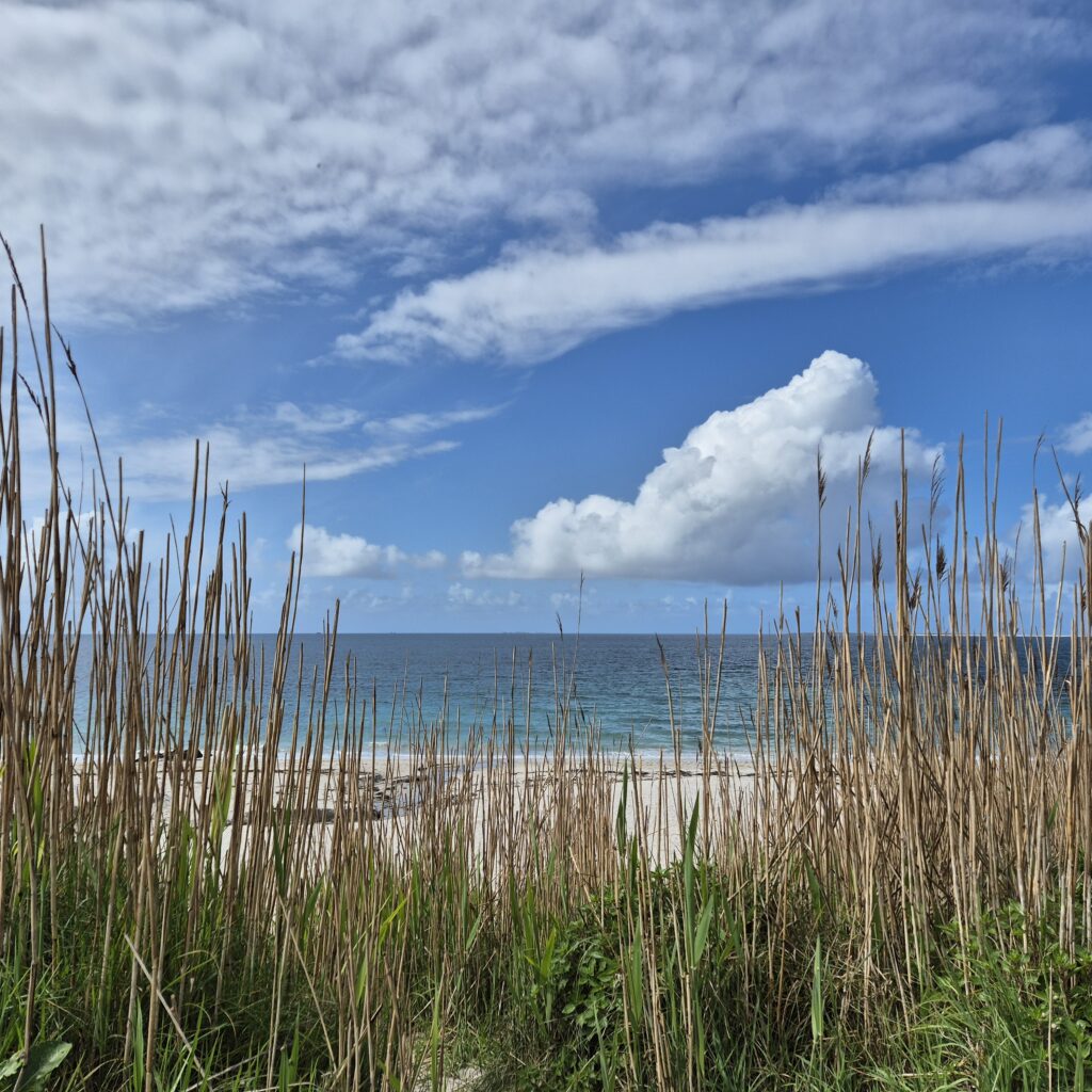 Plage sur la mer d'Iroise dans le Finistère.