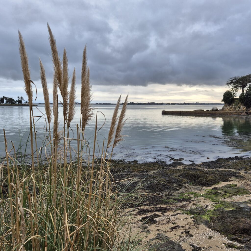 Golfe du Morbihan