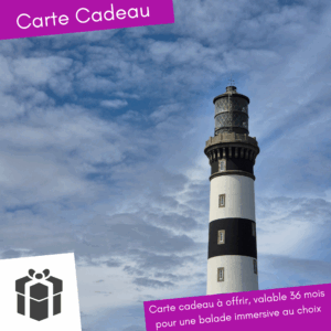 Offre une expérience unique et immersive pour découvrir la Bretagne